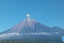Semeru alami erupsi dengan tinggi letusan 600 meter