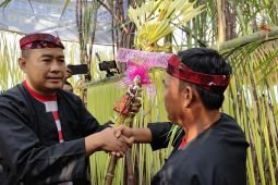 PG Semboro laksanakan tradisi petik tebu manten tandai awal buka giling