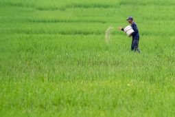 Pemkot Madiun dapat tambahan alokasi pupuk subsidi 472 ton