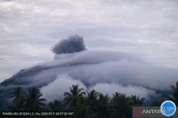 Gunung Lewotobi erupsi, Zona bahaya untuk aktivitas 3 km