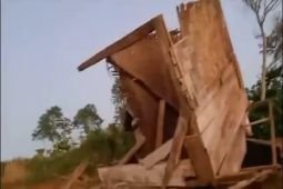 Usai dipasangi "GPS collar", gajah liar kembali rusak rumah warga di Suoh Lampung Barat