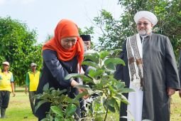 Khofifah perkenalkan kekayaan agrikultur Jatim ke Syekh Afeefuddin