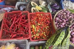 Harga cabai keriting naik Rp8.450 jadi Rp50.000 per kg