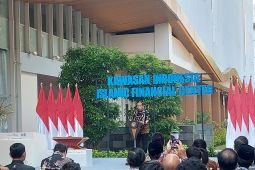 Indonesia should harness its vast halal industry market: Jokowi