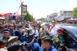 Staf Khusus : Jokowi hormati penilaian masyarakat atas pemerintahannya
