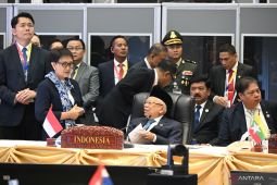 ASEAN-Korea partnership dynamic, strategic in past decade: VP Amin