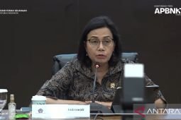 Mt. Lewotobi: Minister assures disaster response budget ready