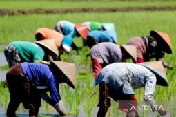 Pemkab Situbondo segera sisir "lahan tidur" dan dikelola