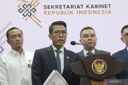 Banggar DPR sebut PPN 12 persen untuk pertumbuhan ekonomi berkelanjutan