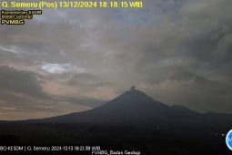 Semeru erupsi kembali dengan tinggi letusan 800 meter