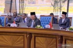 Presiden Prabowo ajak negara D-8 dorong perekonomian bantu Palestina