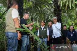 Minister prepares forests for bioethanol to enhance energy security