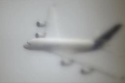 28 orang tewas, tiga selamat dalam kecelakaan pesawat di Korsel