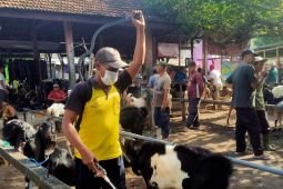 Cegah PMK, Pemkot Kediri intensif lakukan penyemprotan disinfektan di pasar hewan