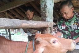 Pacitan pastikan penanganan wabah PMK optimal