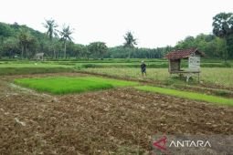 Pemkab Sumenep usulkan tambah penyuluh pertanian ke pusat