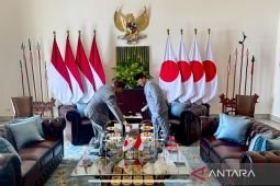 Japan supports Prabowo's energy self-sufficiency program through AZEC