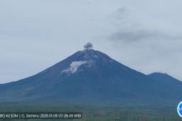 Semeru erupsi dengan letusan setinggi 500 meter