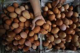 BPS: inflasi Desember 2024 lebih tinggi dari bulan sebelumnya