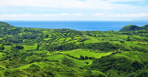 www.uyuganbatanes.com
