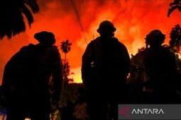 Hari ke-8, kebakaran hutan di Los Angeles akibatkan 25 orang tewas
