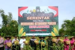 Pemkot-Polres Madiun Kota panen jagung program satu juta hektare