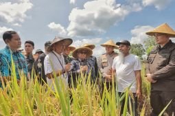 Pemkab Blitar tegaskan petani harus dapat harga layak untuk hasil panen