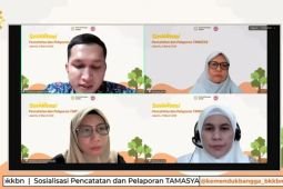 Kemendukbangga sebut program Tamasya beri ketenangan para ibu bekerja