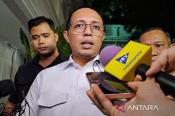Berikut tanggapan istana soal paket berisi kepala babi
