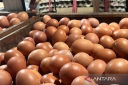 As egg production hits surplus, RI sets sights on US market