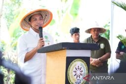 Social forestry program to unlock 7 million hectares for farmers: Govt