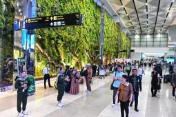 Harga tiket pesawat turun, Kemenhub: Penumpang udara meningkat