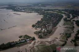 Wamentan siapkan bantuan benih untuk petani terdampak banjir Grobogan