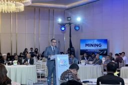 Danantara backs domestic energy transition to cut LPG reliance