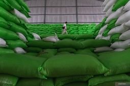 Kemenkeu sebut pendanaan Rp16,6 triliun kepada Bulog untuk ketahanan pangan