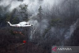 Seorang pilot tewas akibat kecelakaan saat memadamkan kebakaran hutan di Korsel