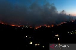 1.500 orang dievakuasi saat kebakaran hutan melanda Korsel