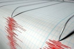Gempa magnitudo 6.0 guncang Nusa Tenggara Timur