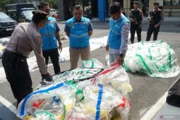 PLN catat empat kasus balon udara jatuh ke jaringan transmisi