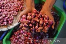 Harga telur ayam Rp29.805 /kg, bawang merah turun jadi Rp37.167/kg