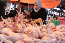 Harga bawang merah turun pada Kamis 15 Mei, daging ayam naik jadi Rp35.658/kg