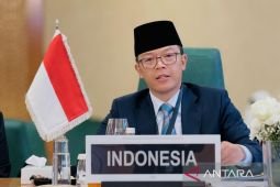Menlu RI sebut Israel wajib fasilitasi bantuan kemanusiaan dari PBB