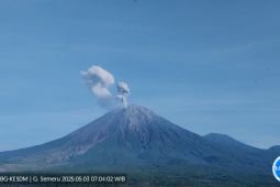 Semeru kembali alami tiga kali erupsi dengan letusan hingga 900 meter