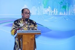 Indonesia calls for intensified renewable power plant development