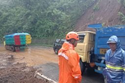 BPBD sebut akses Malang-Lumajang sempat terputus akibat tanah longsor