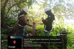 Kemenhut siapkan langkah hukum terkait aktivitas tambang Raja Ampat