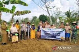 Pemkab Sumenep kolaborasi lintas sektor untuk perkuat ketahanan pangan