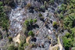 Menhut pertimbangkan ungkap daftar tersangka pembakaran lahan