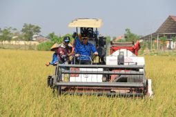 Program kemandirian Lapas Lamongan dukung ketahanan pangan