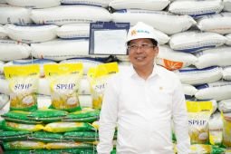 Pemerintah salurkan beras SPHP 1,3 juta ton hingga Desember 2025